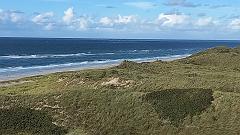 Sylt (194)